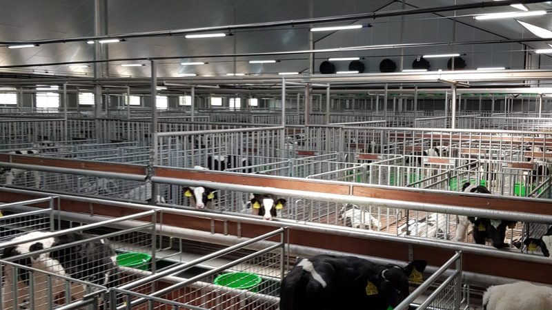 个人抖音小店营业执照申请全攻略