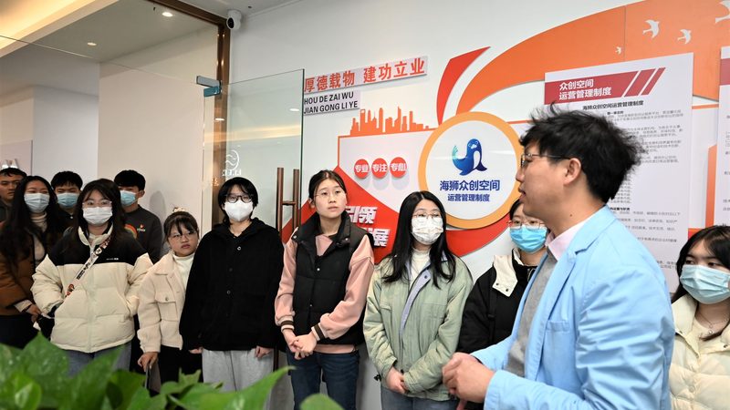 拼多多网店装修：傻瓜式操作背后的逻辑与技巧